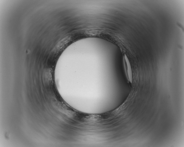 X0000099520128200806051220