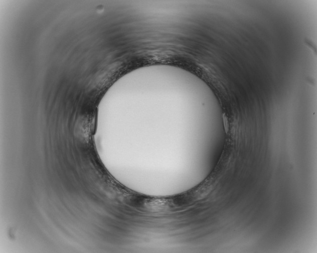 X0000099520129200806051220