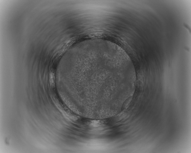 X0000099520130200806051220