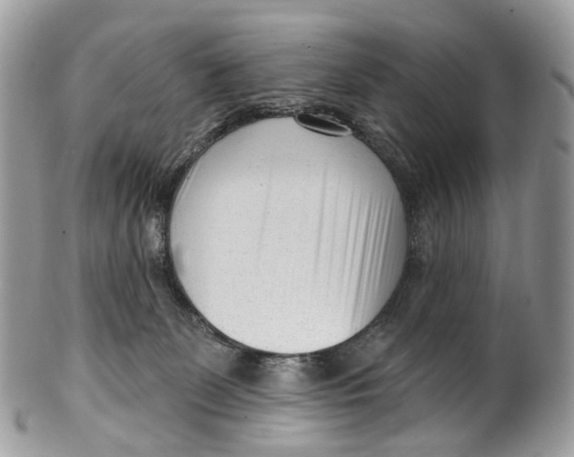 X0000099520131200806051220