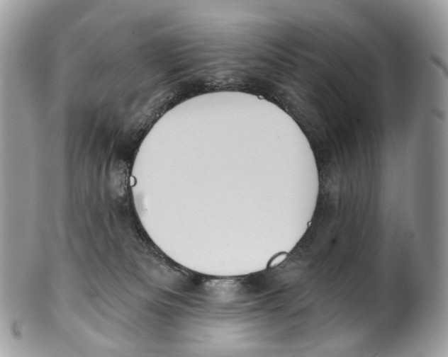 X0000099520133200806051220