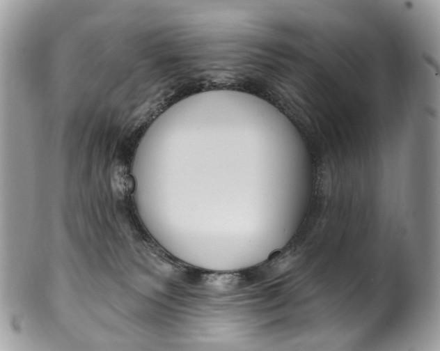 X0000099520135200806051220