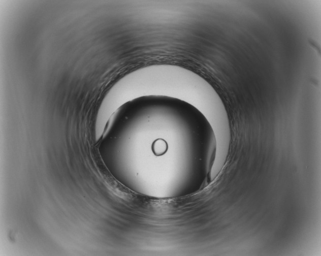 X0000099520136200806051220