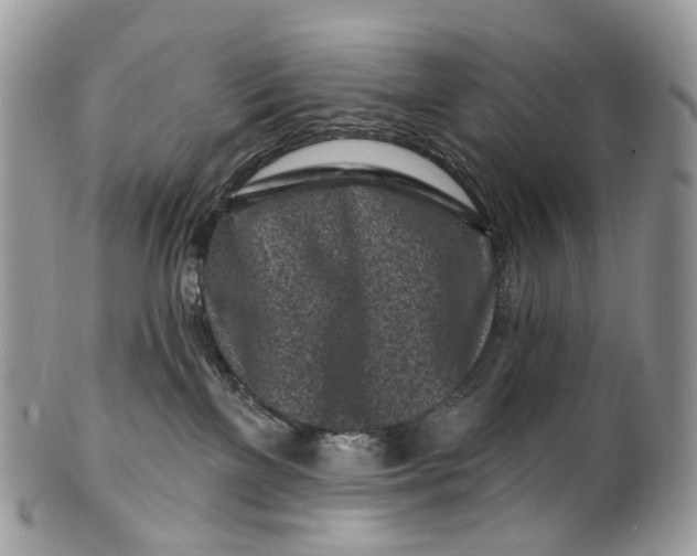 X0000099520137200806051220