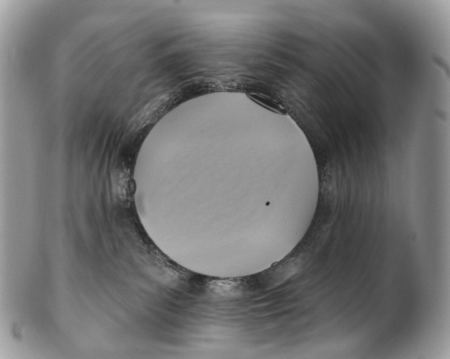 X0000099520139200806051220