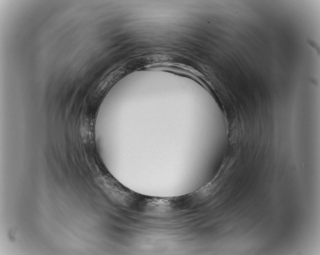 X0000099520140200806051220