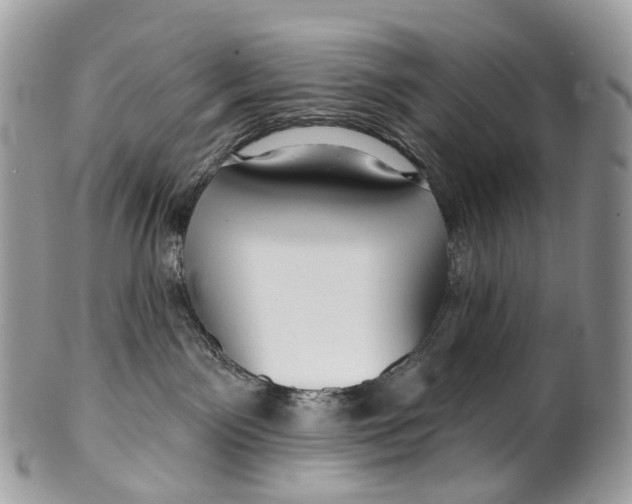 X0000099520141200806051220