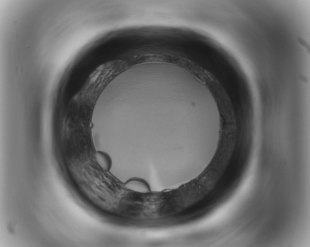 X0000099520143200806051220