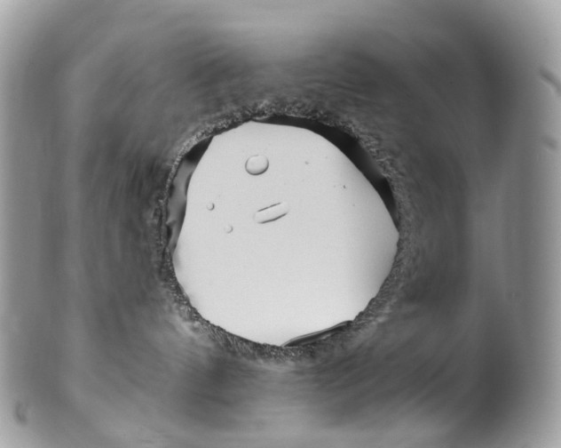 X0000099520144200806051220