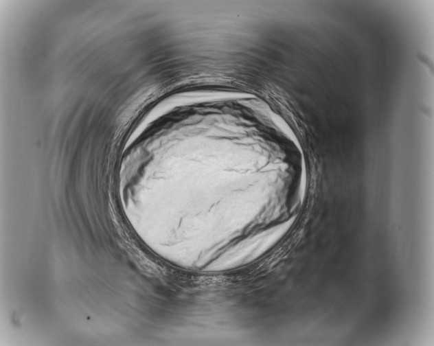 X0000099520145200806051219