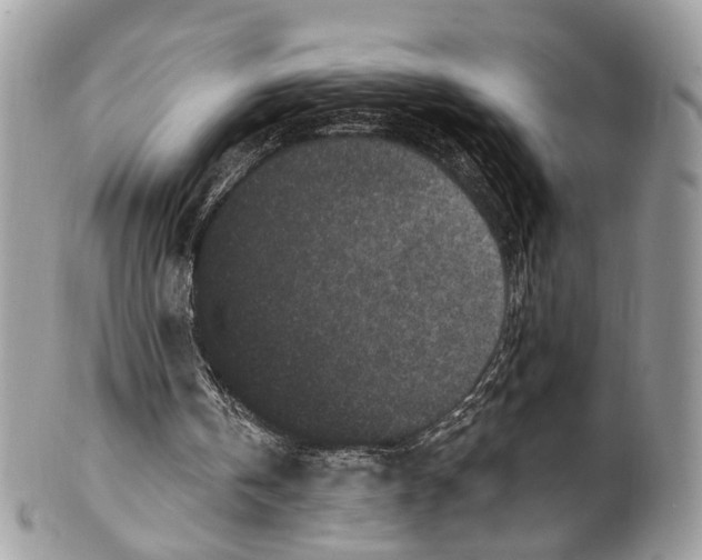 X0000099520146200806051219