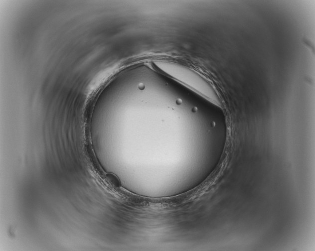 X0000099520149200806051219