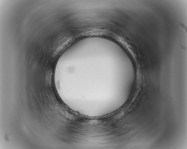 X0000099520153200806051219