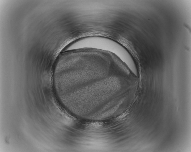 X0000099520156200806051219