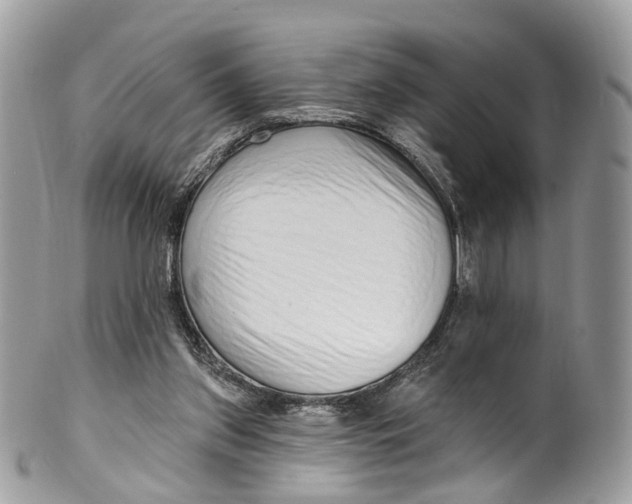 X0000099520157200806051219