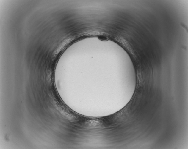 X0000099520159200806051219