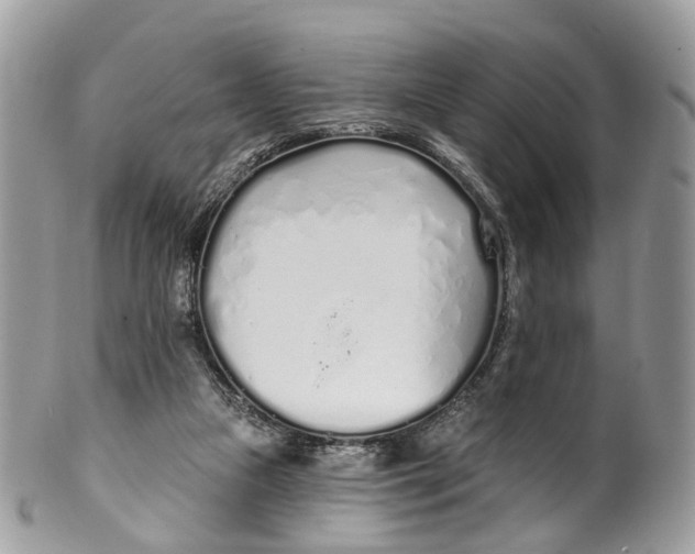 X0000099520161200806051219