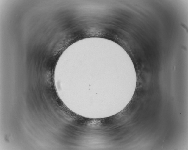 X0000099520162200806051219