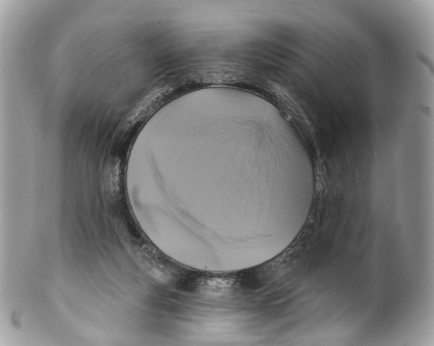 X0000099520163200806051219