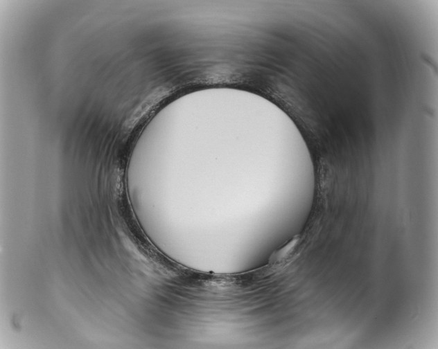 X0000099520164200806051219