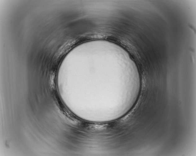 X0000099520166200806051220