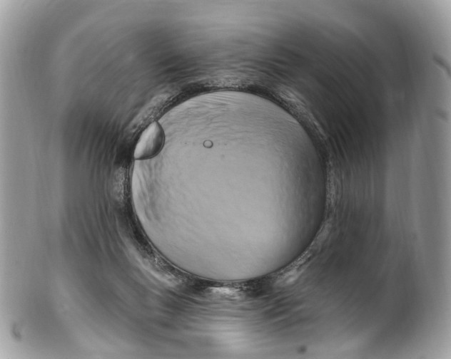 X0000099520167200806051220