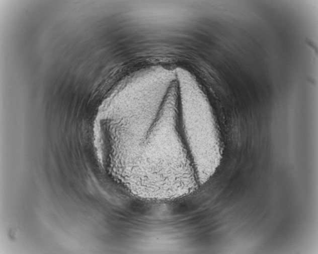 X0000099520169200806051220