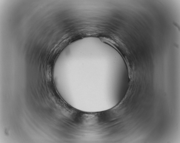 X0000099520170200806051220