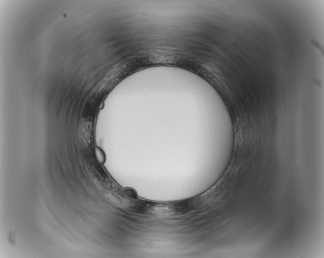 X0000099520171200806051220