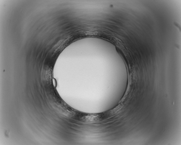 X0000099520172200806051220