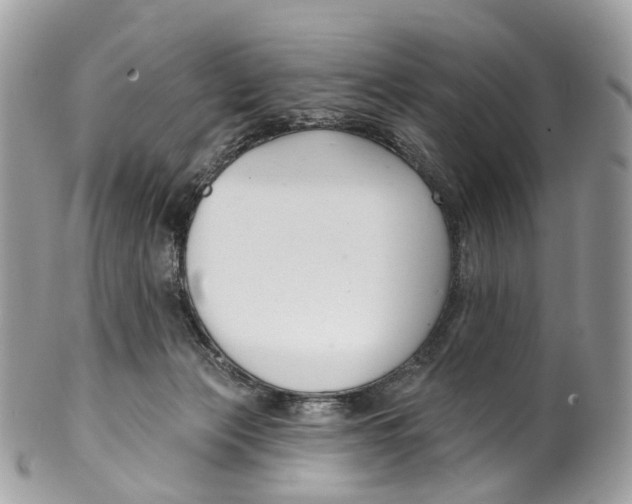 X0000099520173200806051220