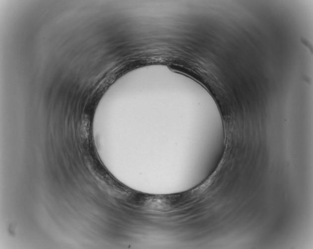 X0000099520174200806051220