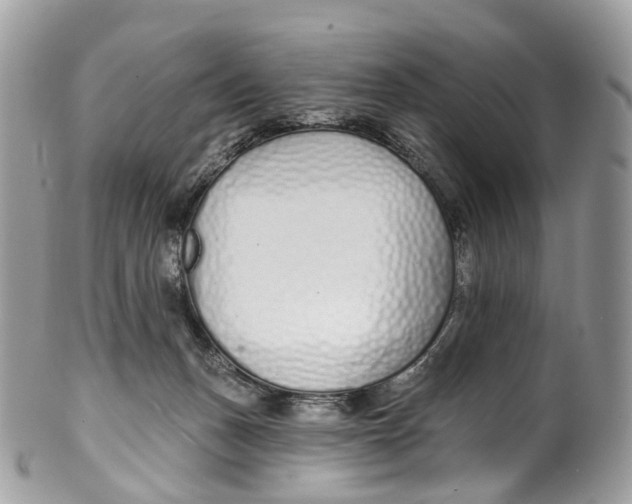 X0000099520175200806051220