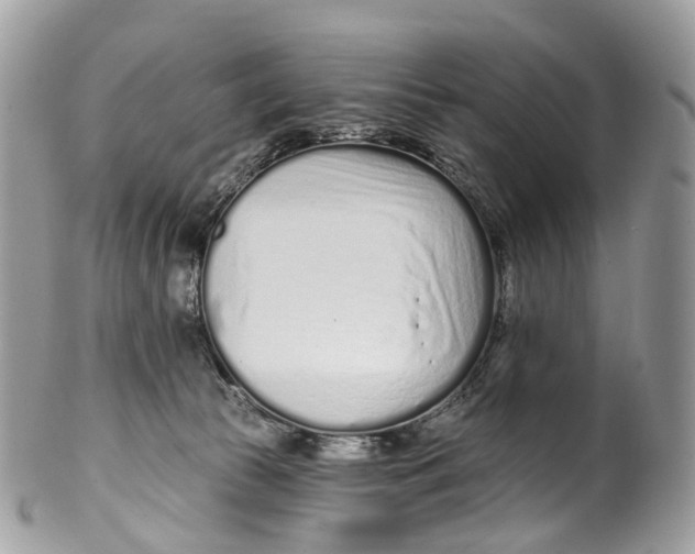 X0000099520177200806051220