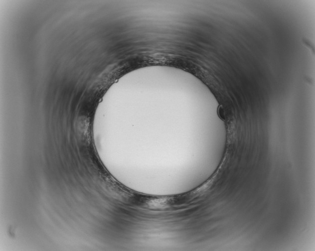 X0000099520178200806051220