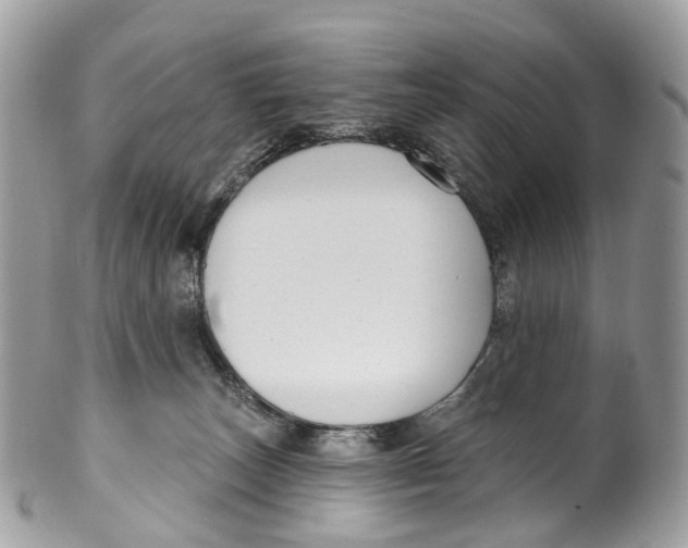 X0000099520179200806051220