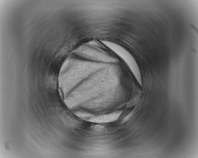 X0000099520180200806051220