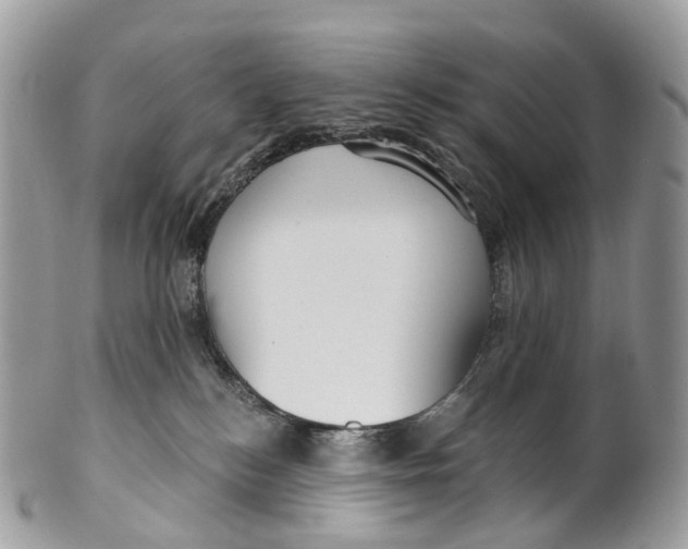 X0000099520184200806051220