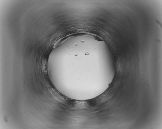 X0000099520185200806051220