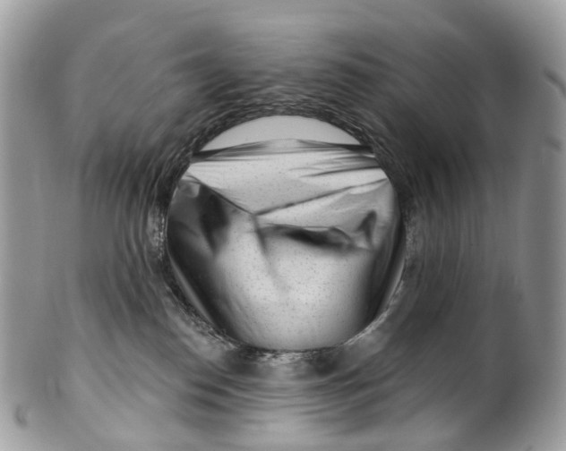 X0000099520186200806051220