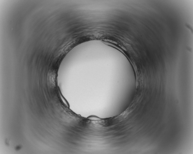 X0000099520188200806051220