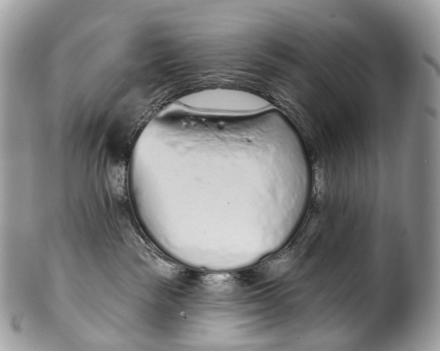 X0000099520189200806051220