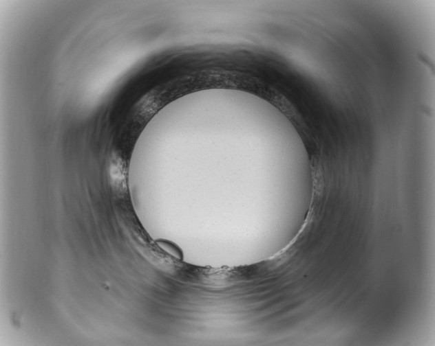 X0000099520191200806051220