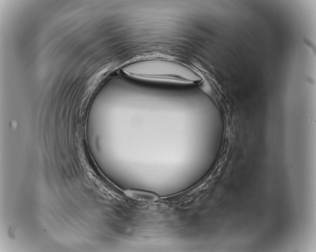 X0000099520193200806051219