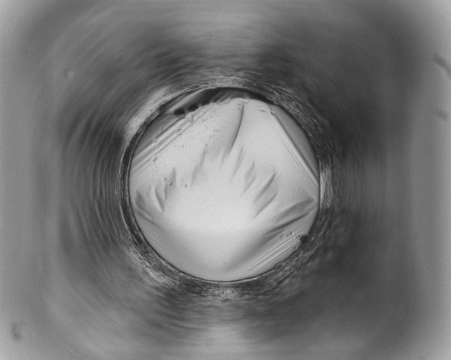 X0000099520195200806051219