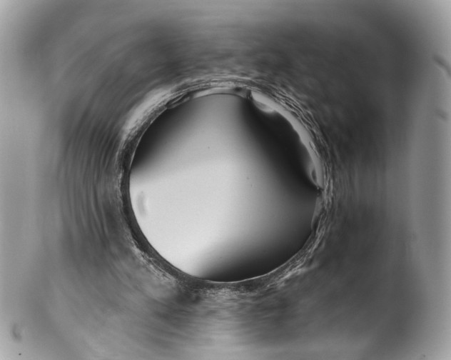 X0000099520197200806051219