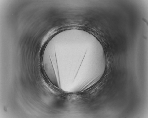 X0000099520198200806051219