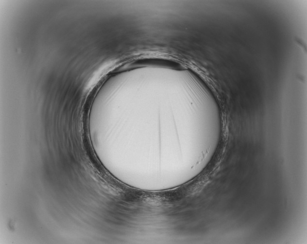 X0000099520199200806051219