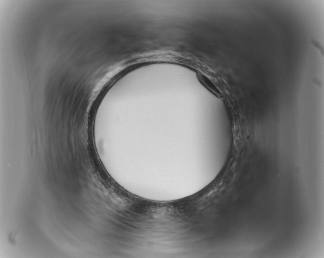 X0000099520200200806051219