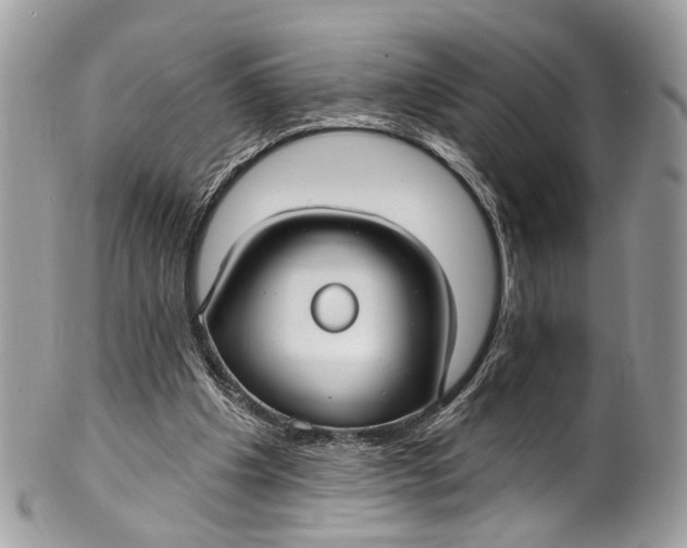 X0000099520201200806051219